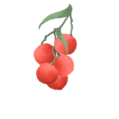 首页| 88858cc永利集团(Macau)官方网站