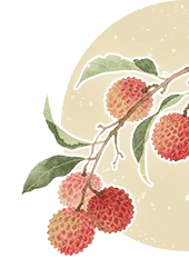 首页| 88858cc永利集团(Macau)官方网站